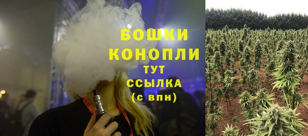 PSILOCYBIN Магадан