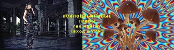 mdpv Майский