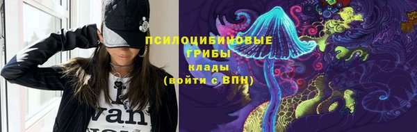 PSILOCYBIN Магадан