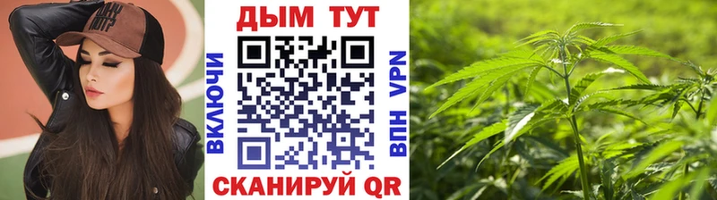 Купить закладки  Нарьян-Мар  Бошки марихуана сатива 
